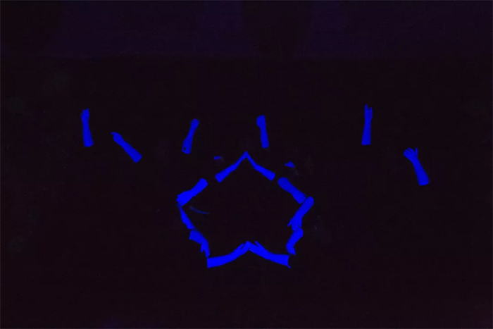 20190129023536262